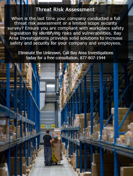 Threat Risk, Security Audit